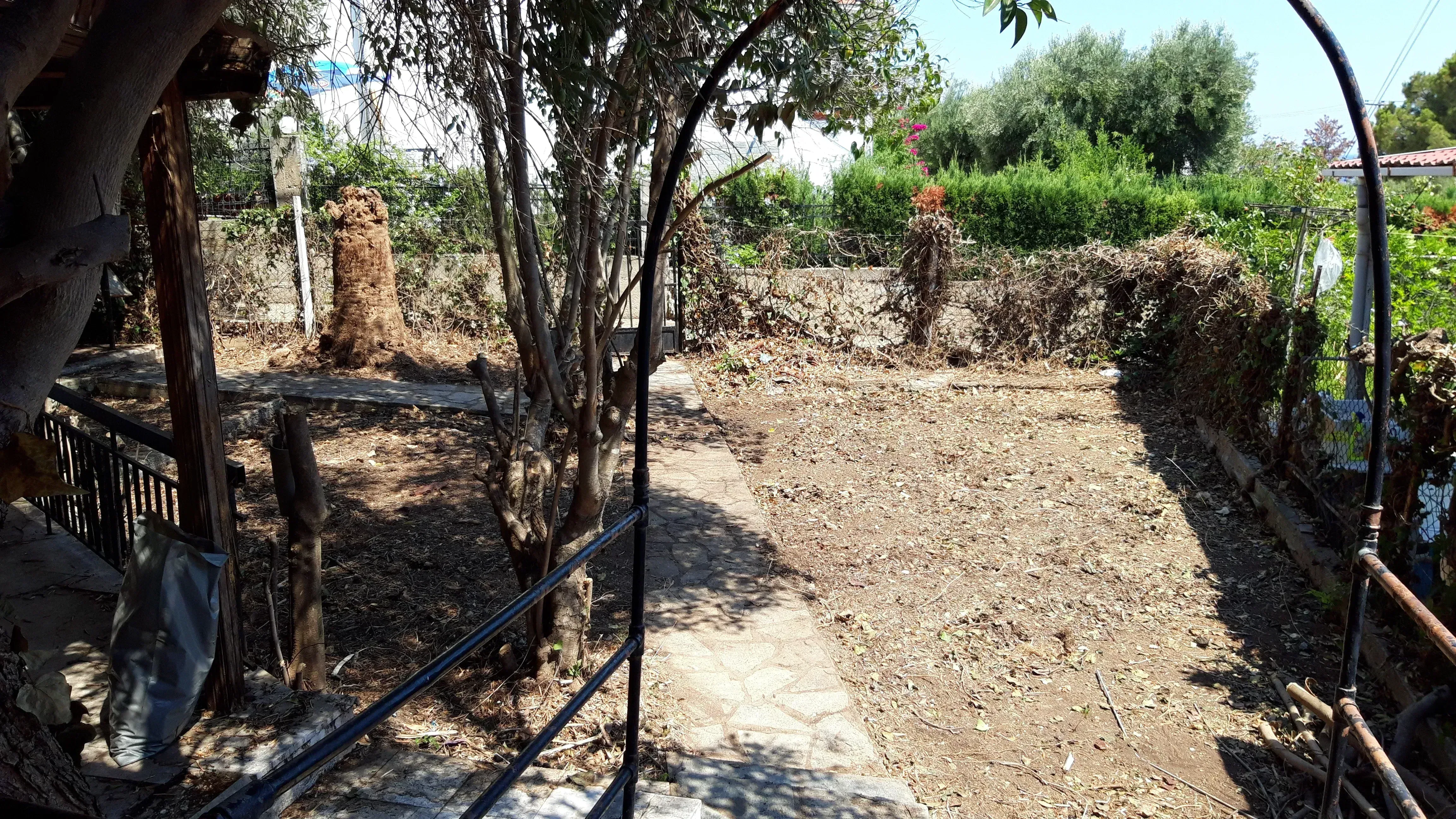 Plot Clearing in Gerakini, Chalkidiki